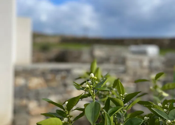 Semesterbostad Gaia House *